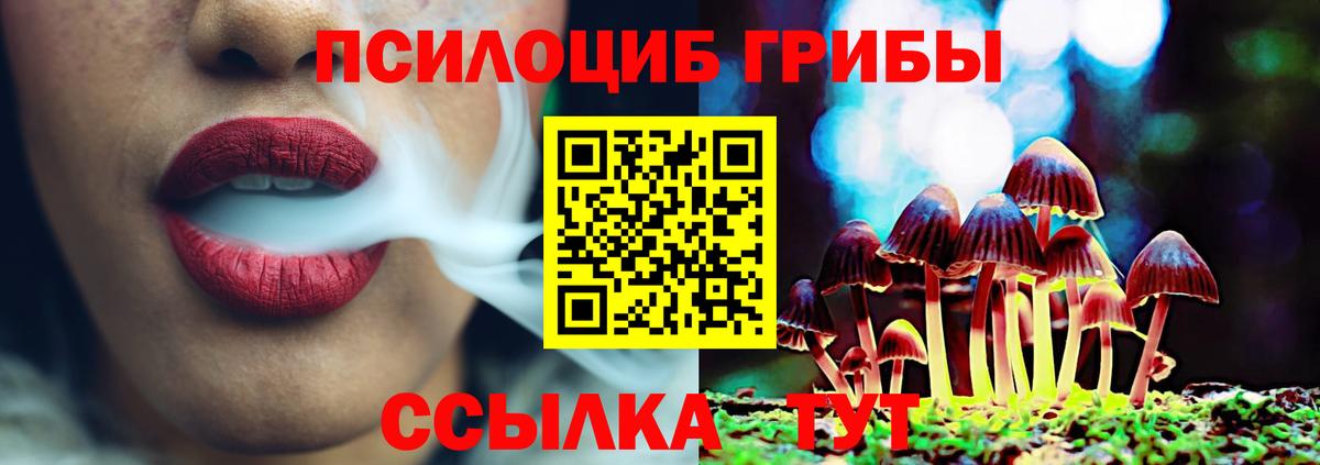 Воронеж  как найти закладки  Вход с VPN  Псилоцибиновые грибы ЛСД 